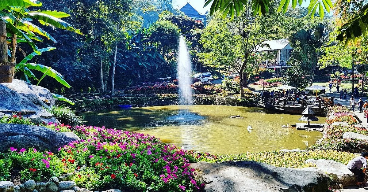 Doi Tung
