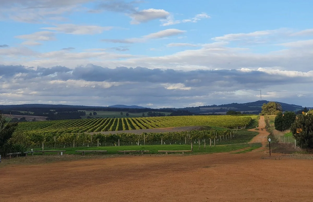 West Cape Howe Wines