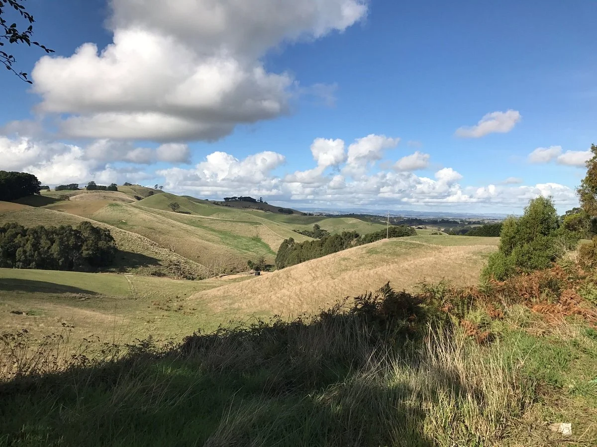 Arawata Scenic Drive