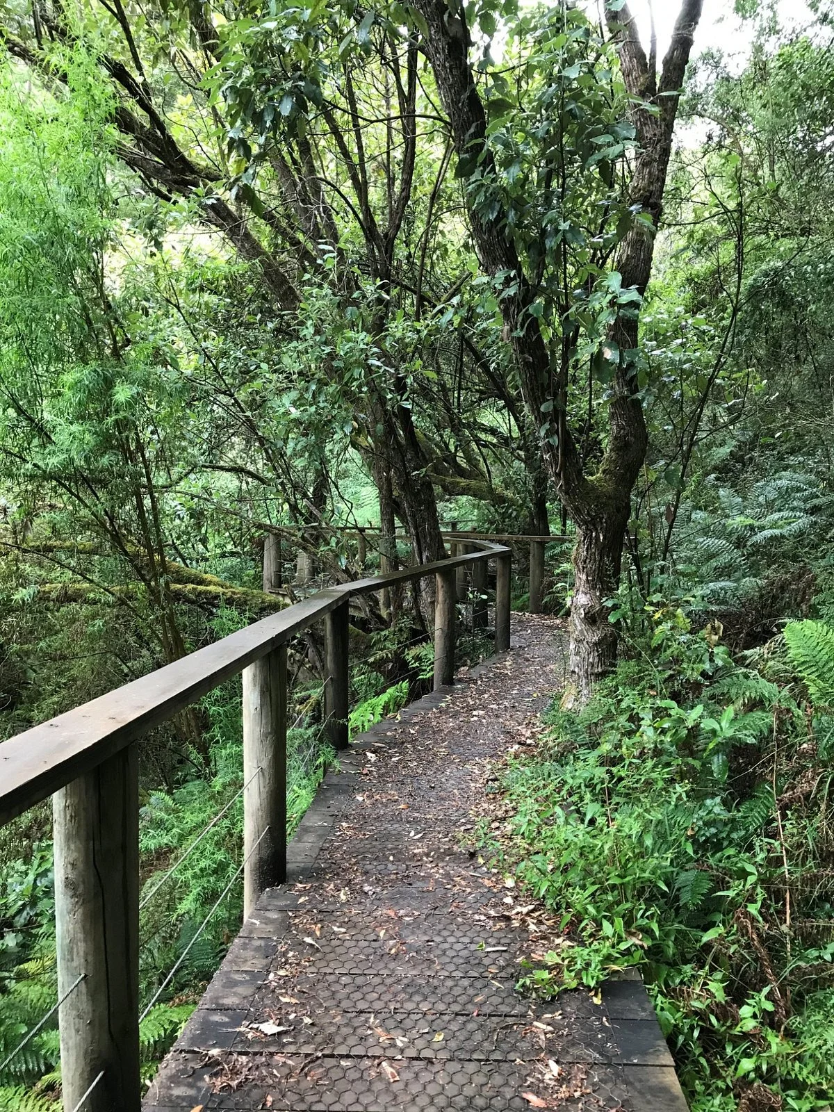 Uralla Nature Reserve