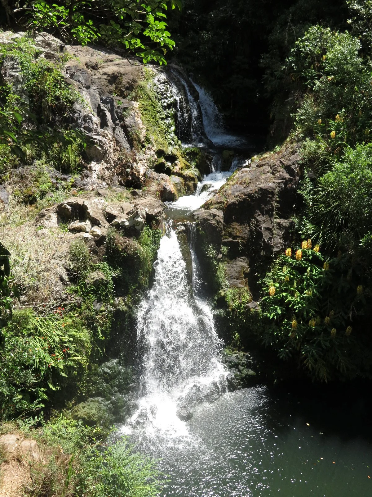 Raumanga Falls