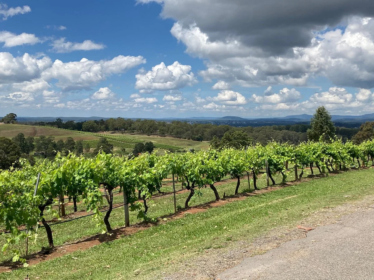 Petersons Wines
