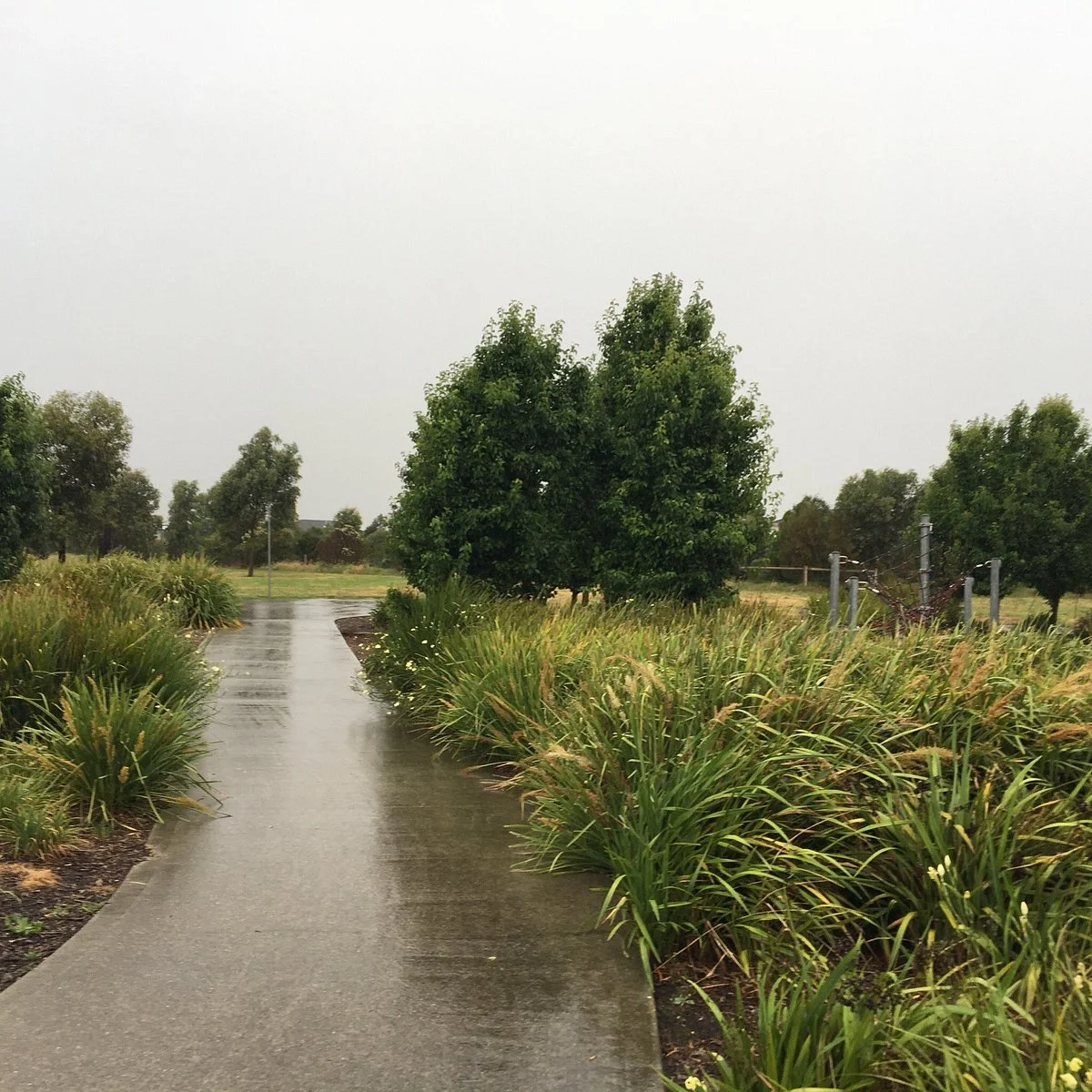 Edenbrook Wetlands