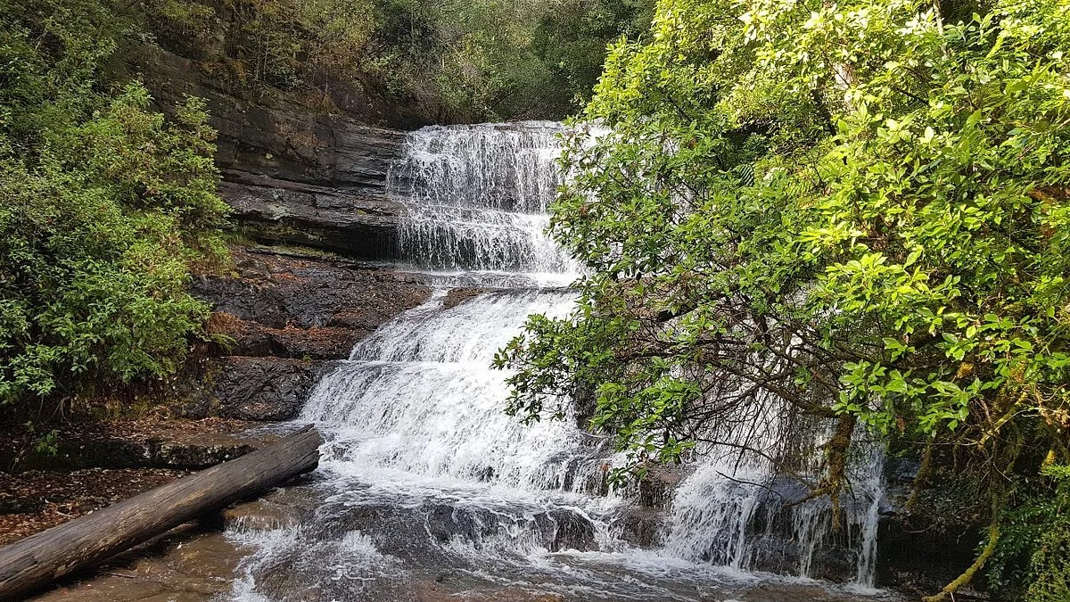 Lady Barron Falls