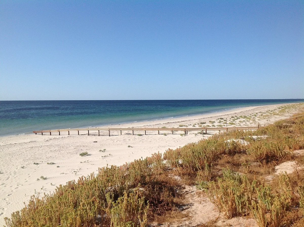 Forrest Beach