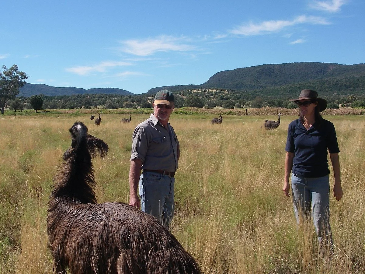 Emu Logic