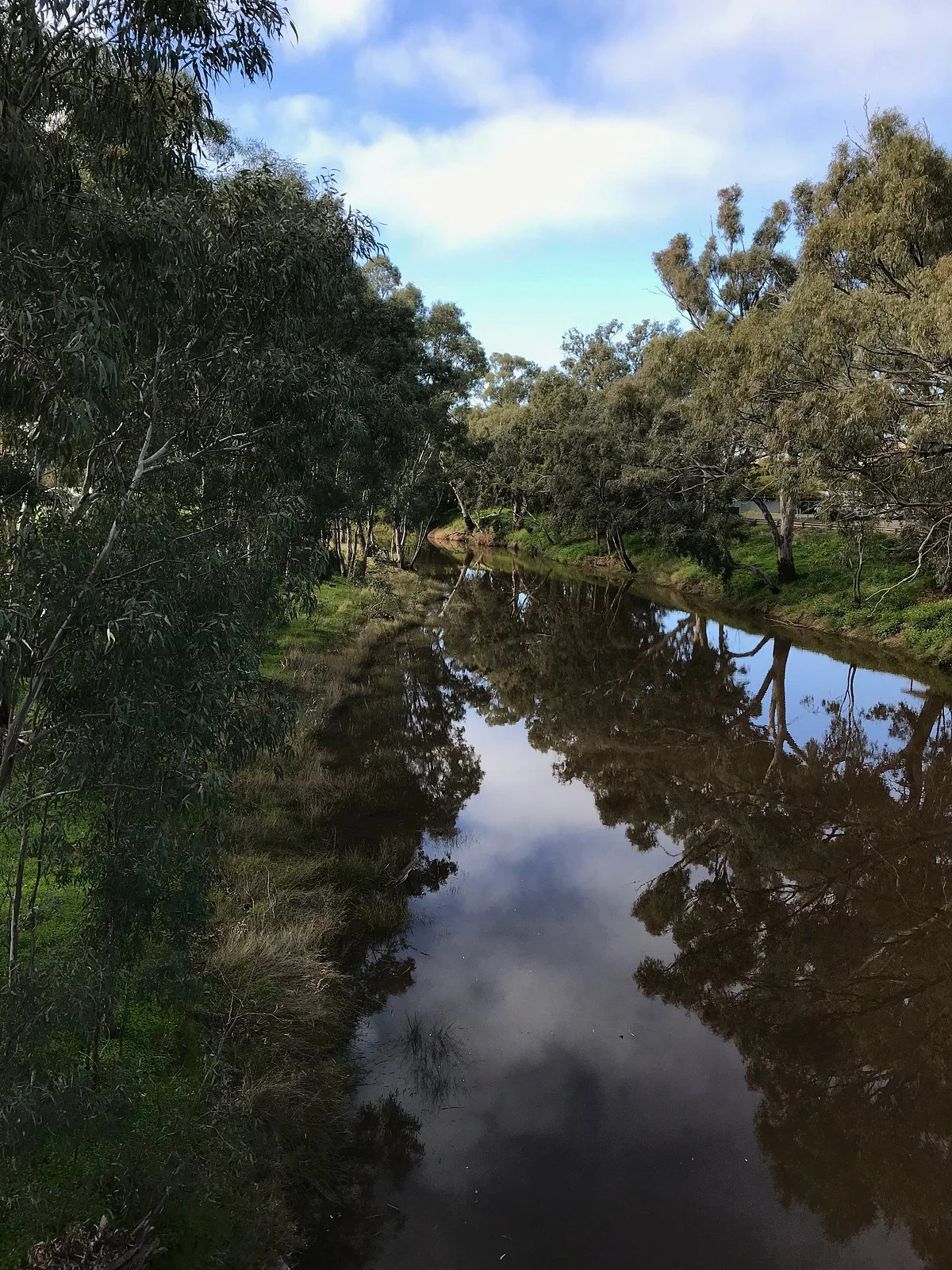 Avoca River Walk
