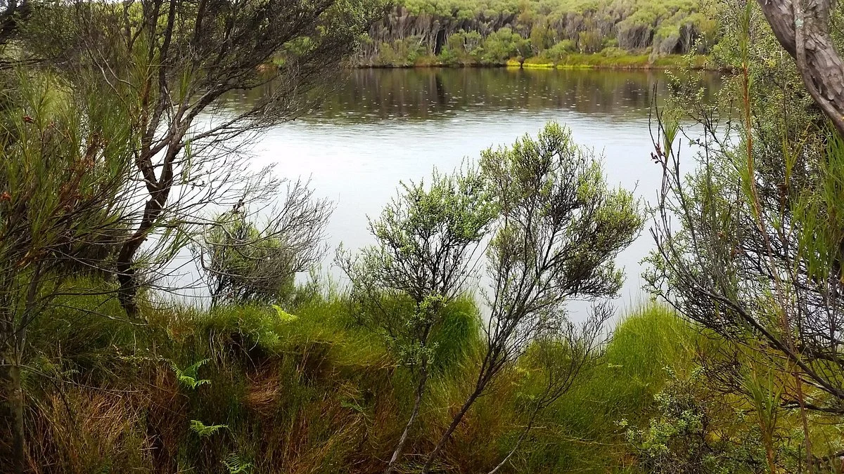 Waituna Lagoon