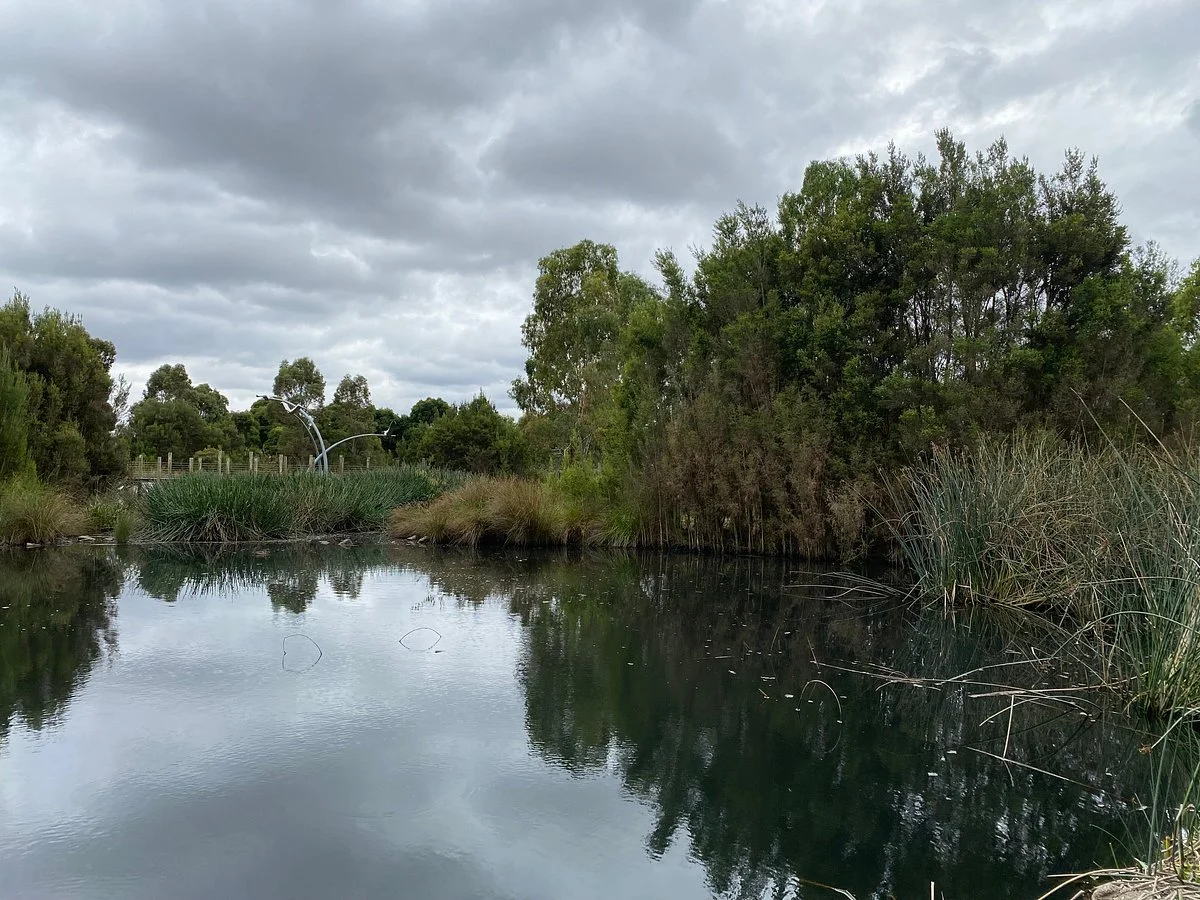 Serle Wetland Park