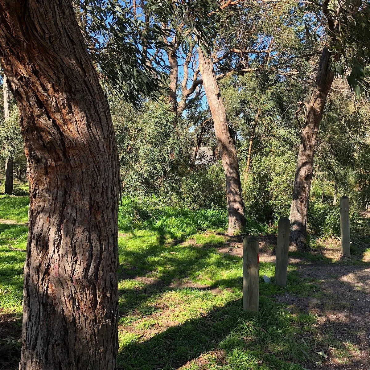 Heathmont Park