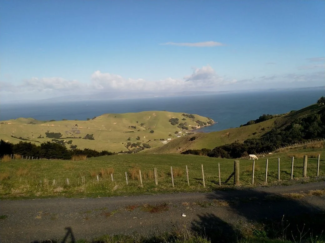 Manaia Road Saddle And Lookout