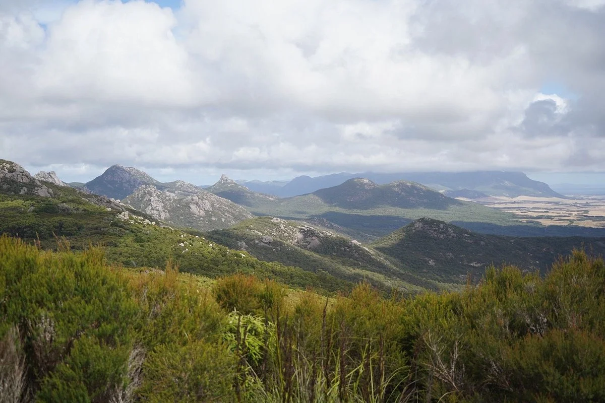 Walkers lookout
