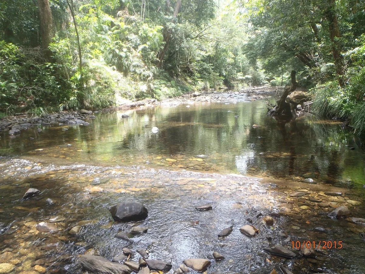 Cedar Bay National Park