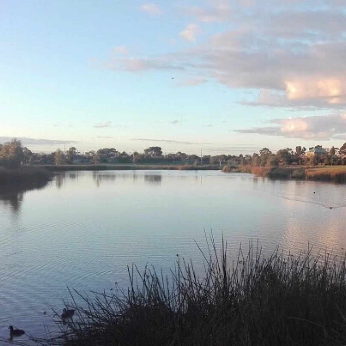 Gordon O'Keffe Reserve