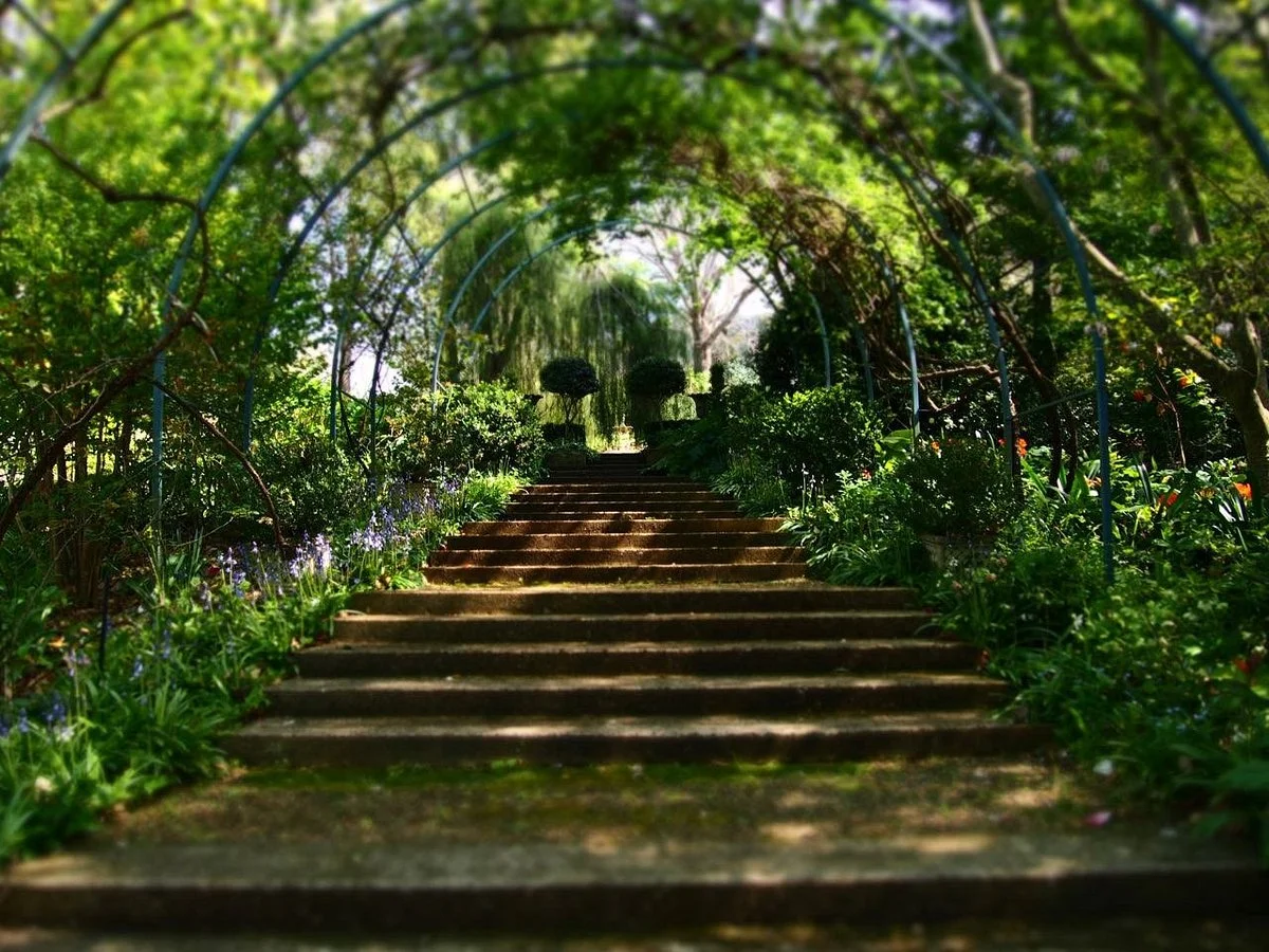 The Foxglove & Co Gardens