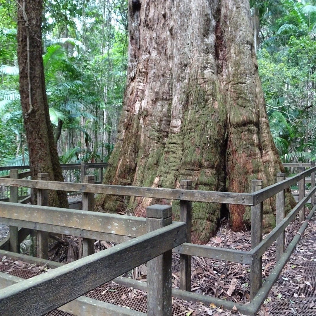 Middle Brother National Park