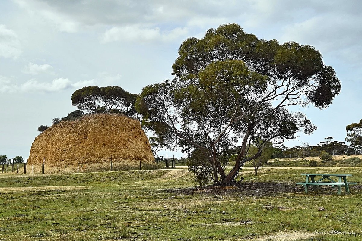 Shell Hill