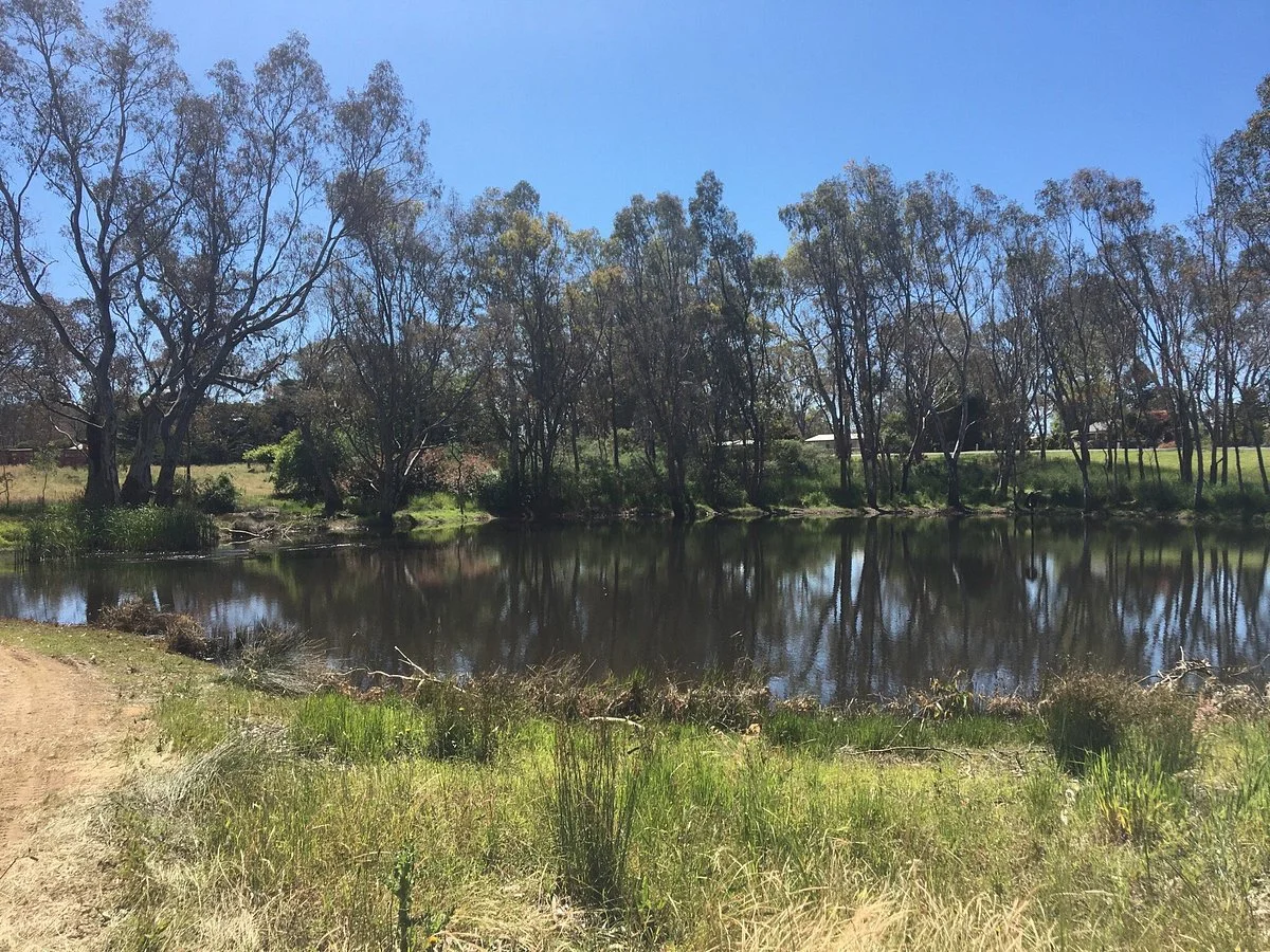 Newlands Nature Walk