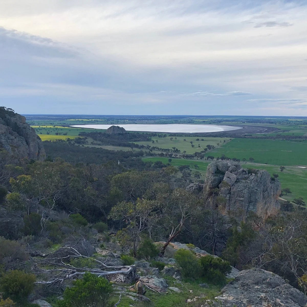 Bluff Picnic Area and Lookout