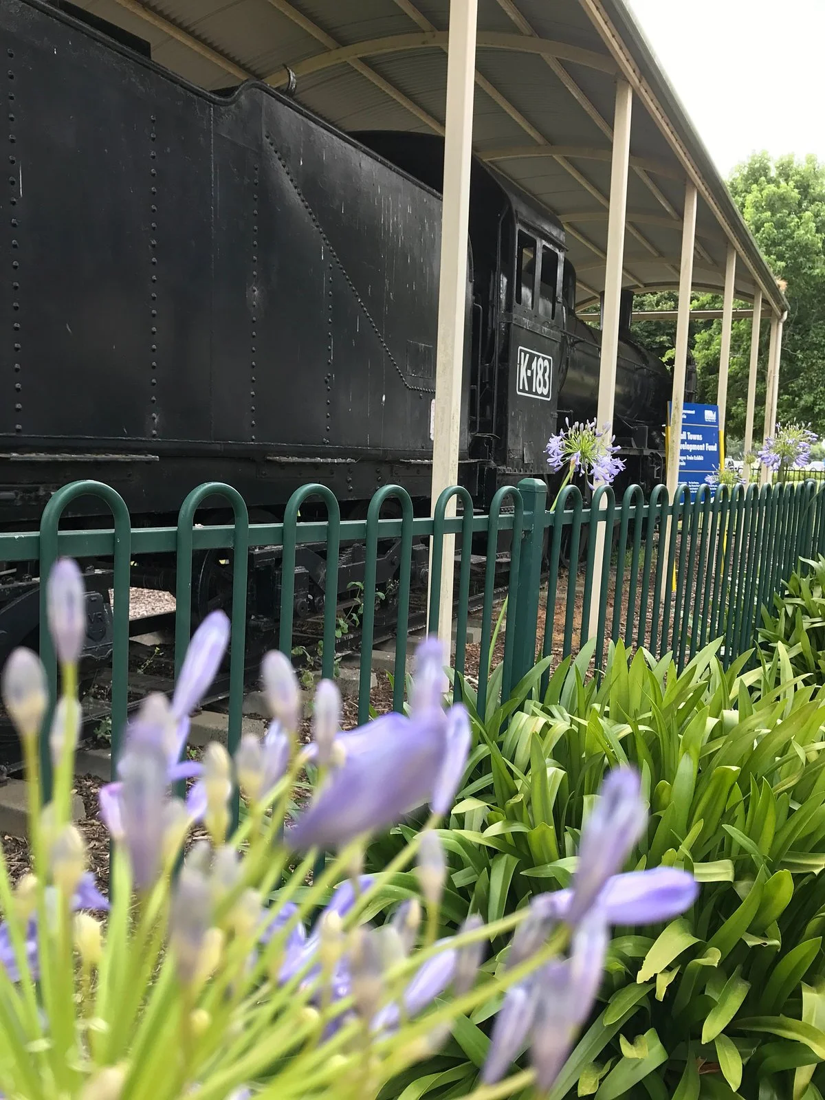 Yarragon Steam Locomotive