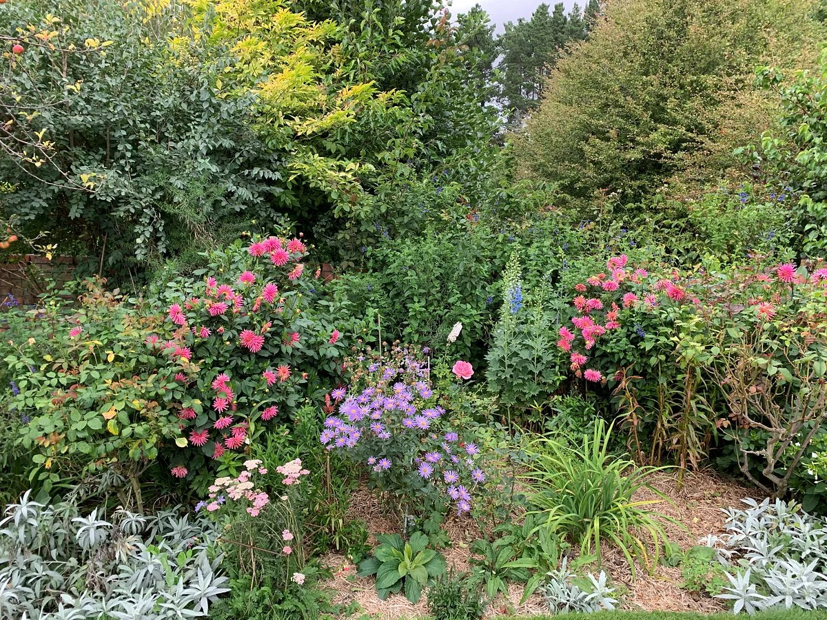Barewood Garden