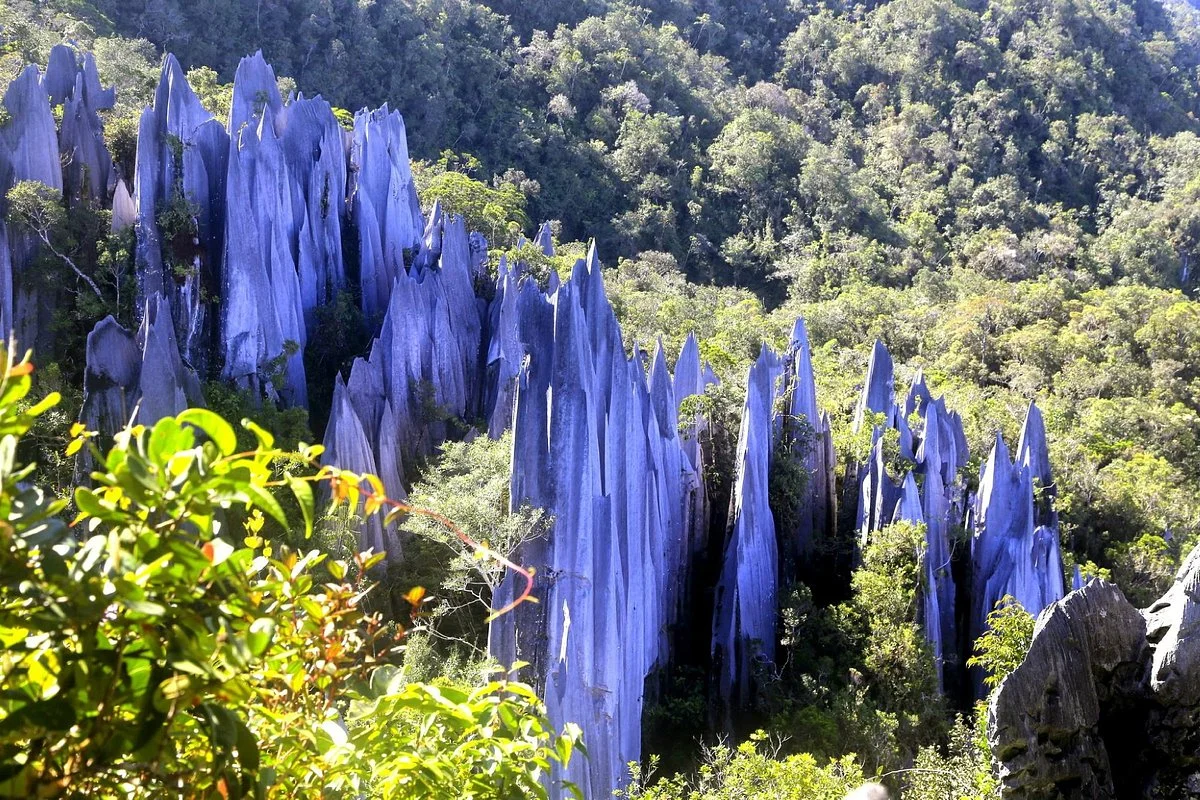 The Pinnacles Trail