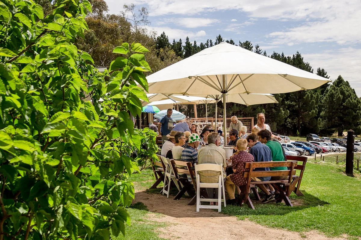 Anderson Hill Cellar Door