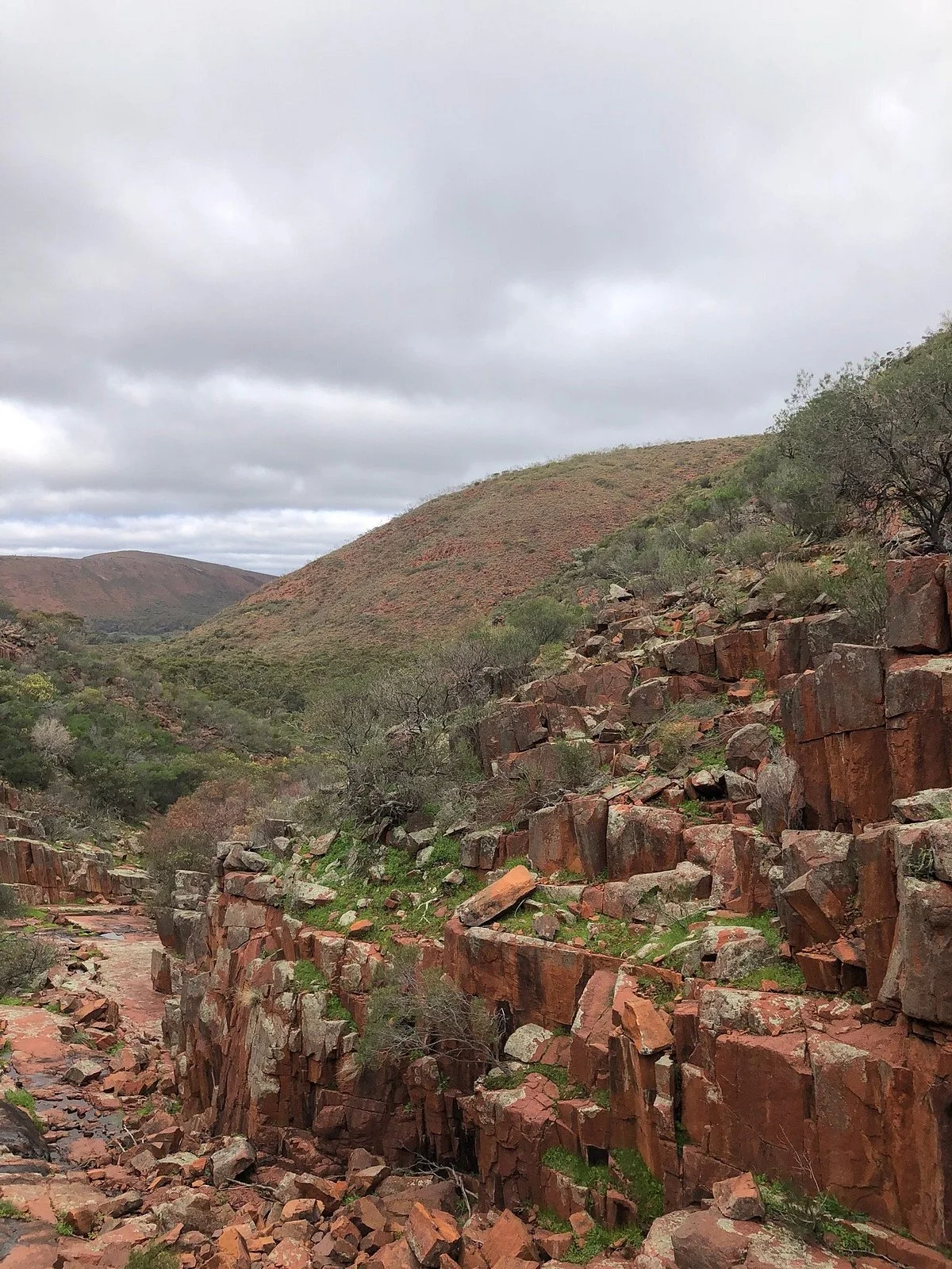 Gawler Ranges National Park
