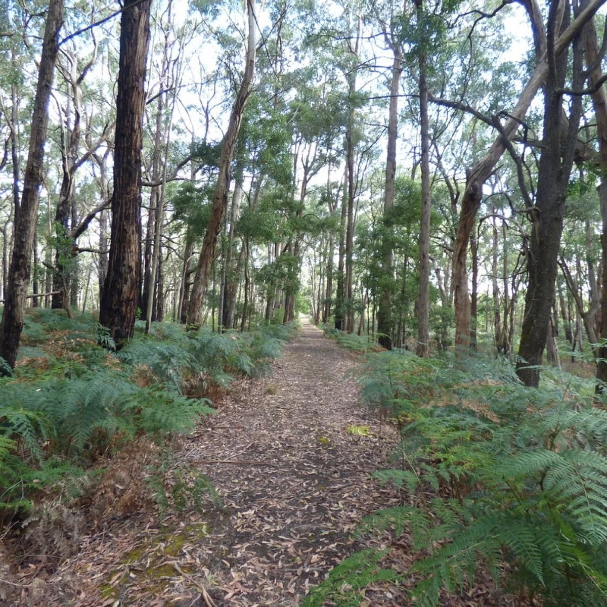 Barongarook Conservation Reserve