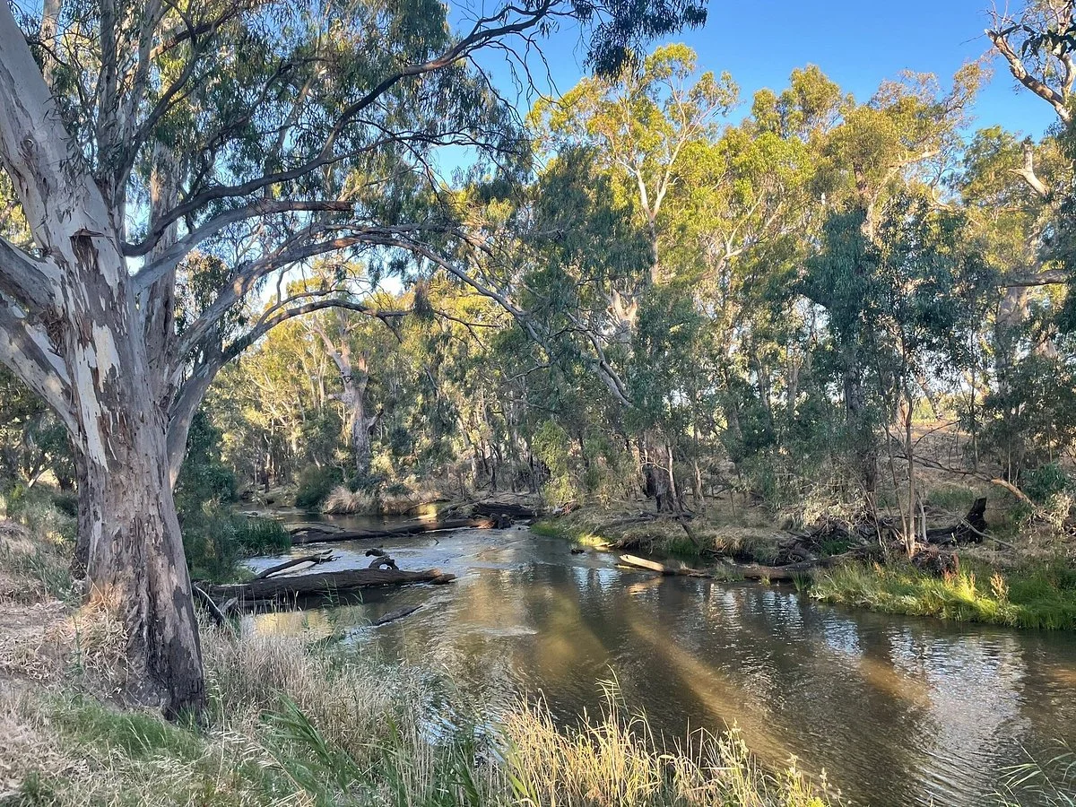 Axedale Platypus Compass