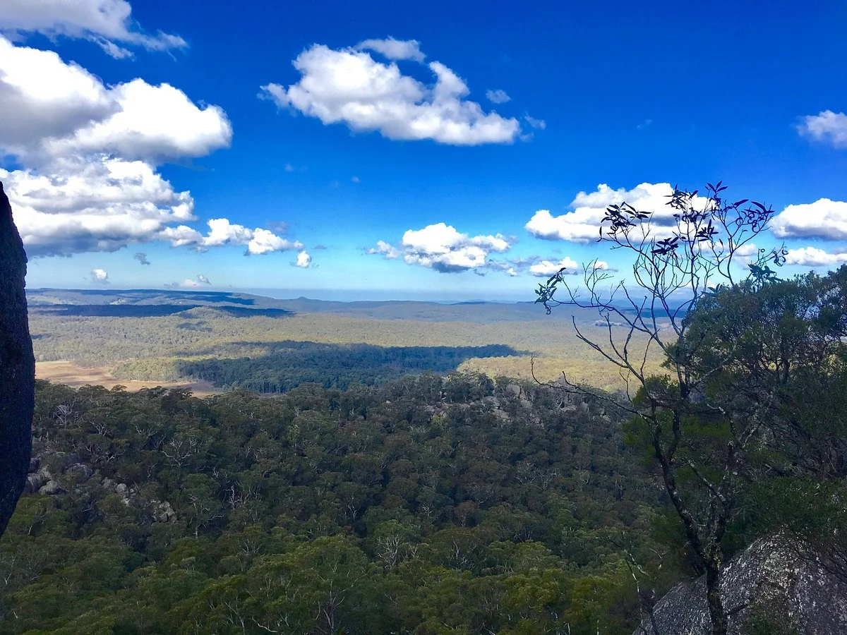 Cathedral Rock National Park