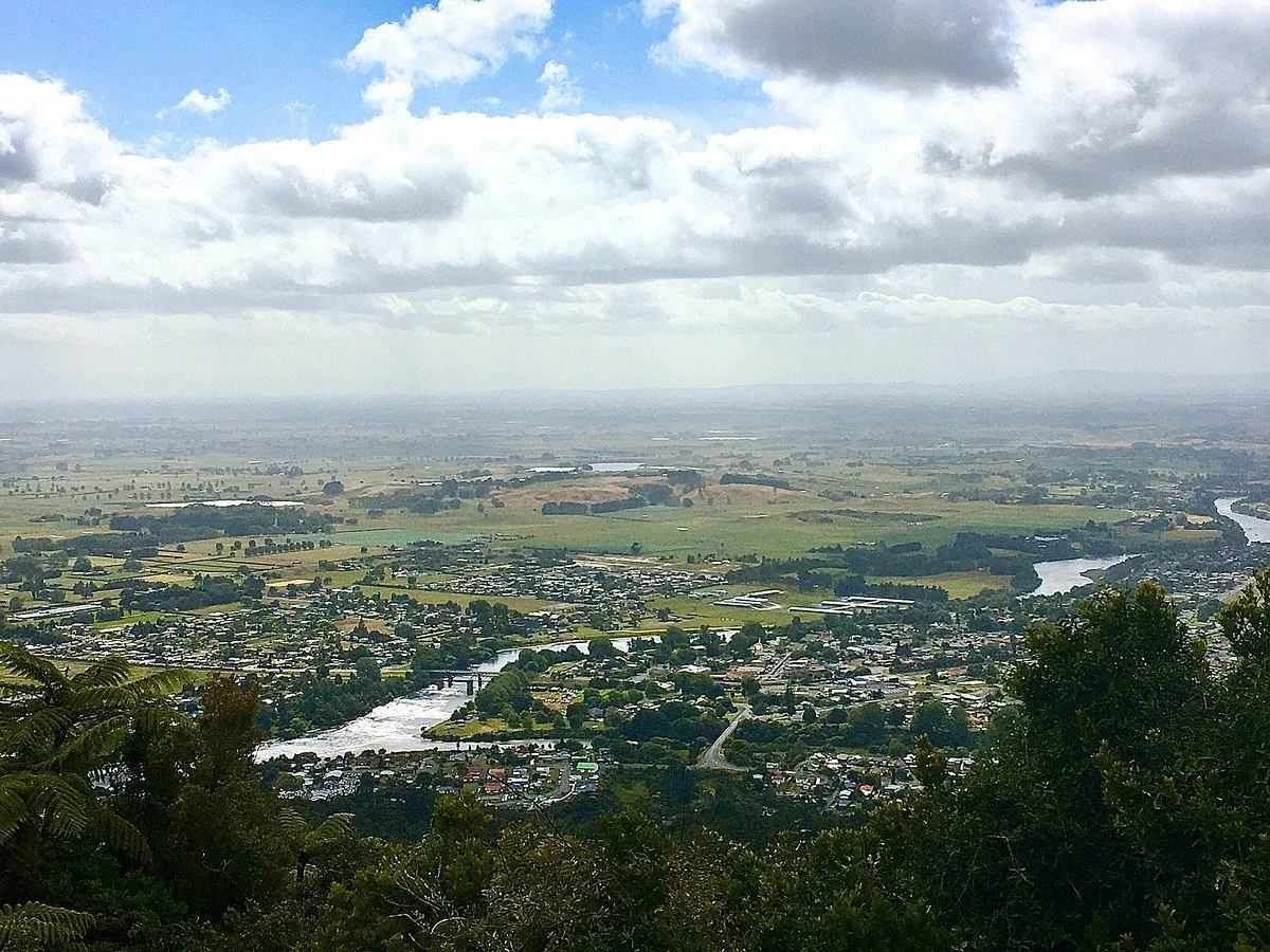 Kauri Loop Track