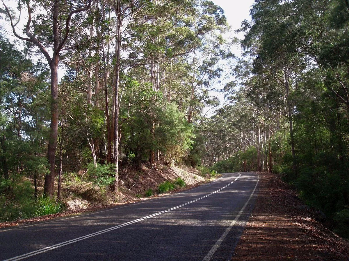 Scotsdale Scenic Drive