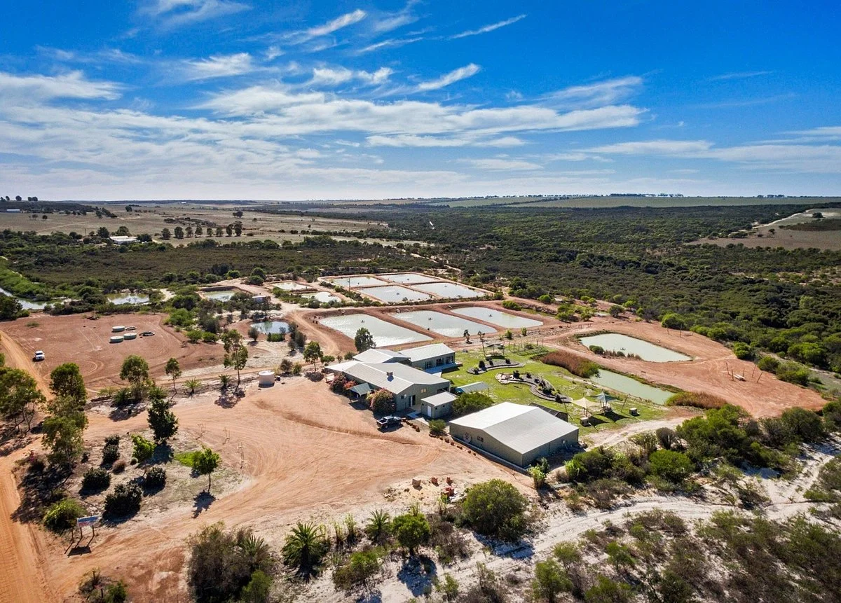 Chapman Valley Fishing Park