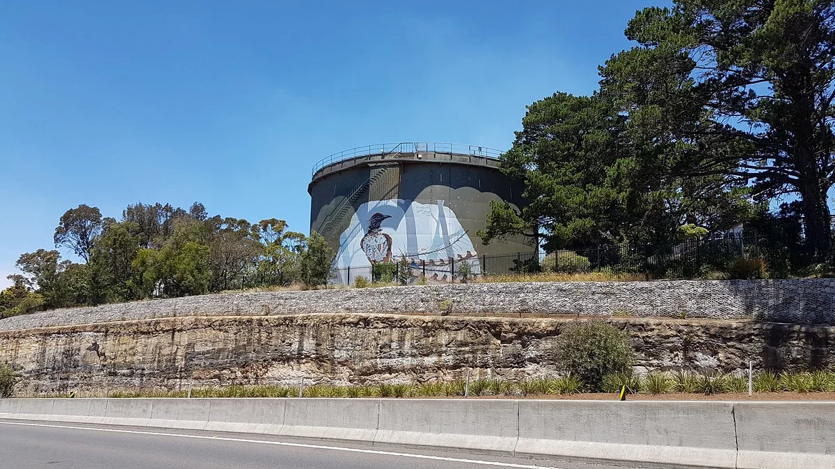 Lyrebird Mural