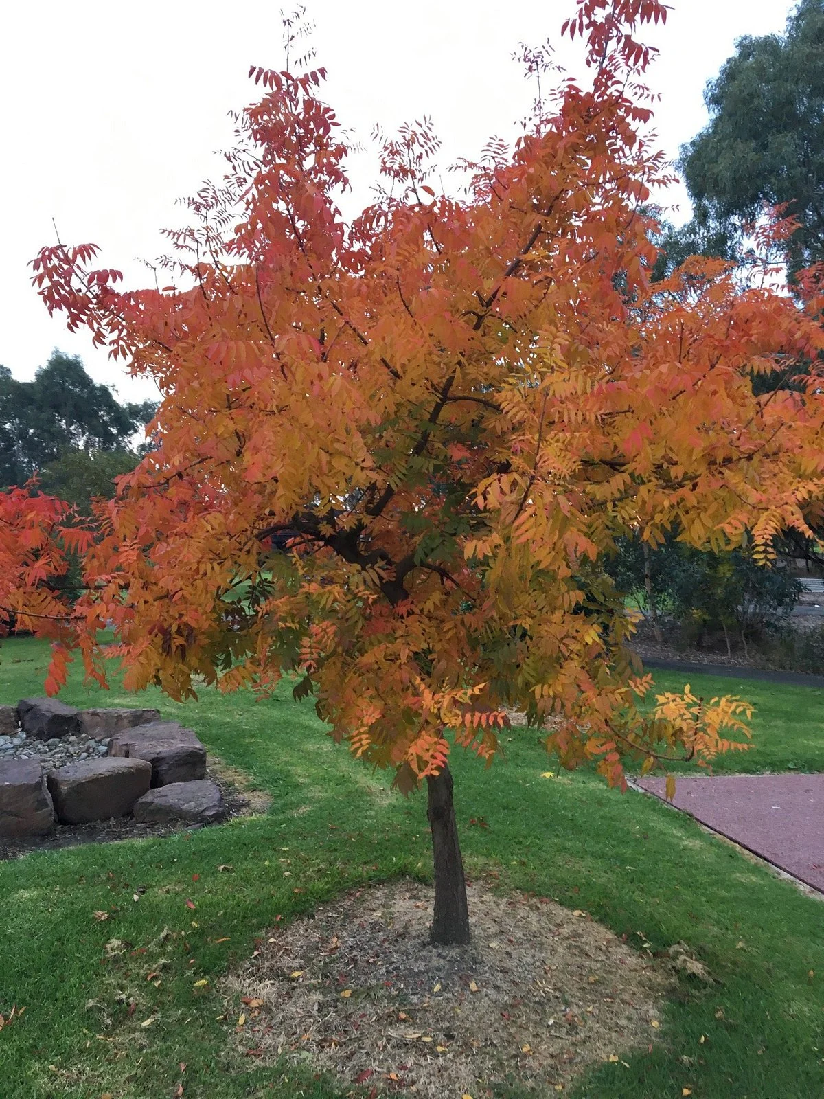 Talbot Park