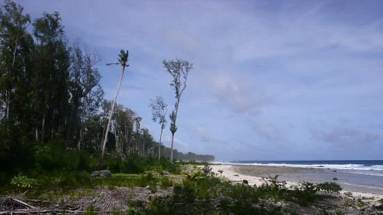 Honeymoon Island