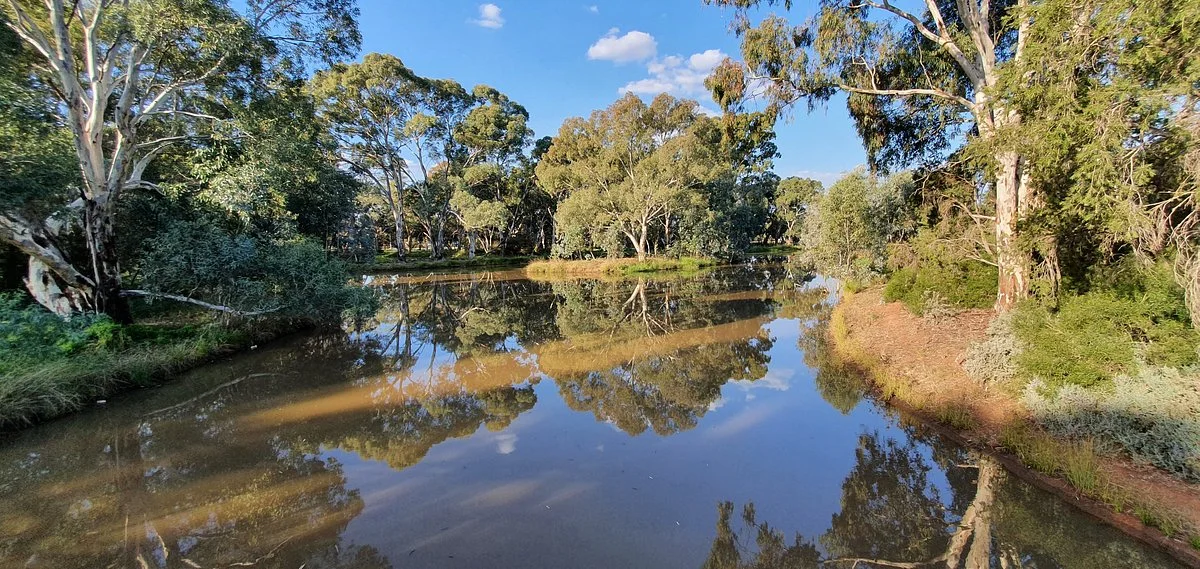 West Wyalong Wetlands