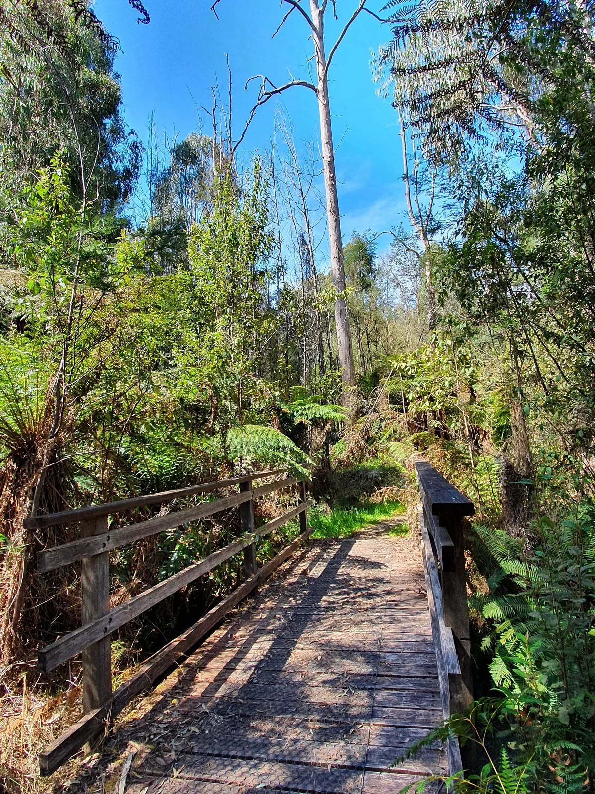 Michaeldene Track