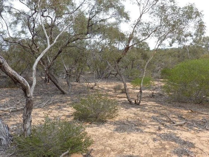 Hattah Lakes Nature Discovery Trail