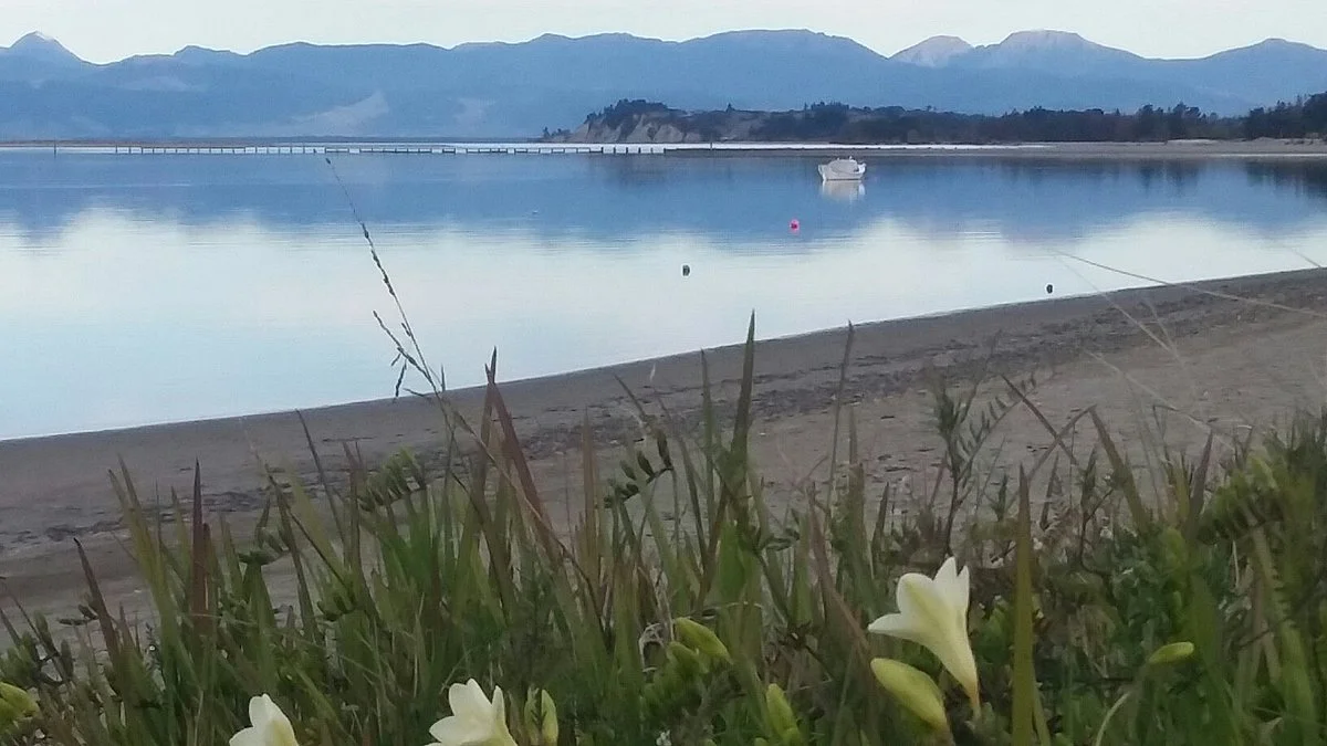 Motueka Quay