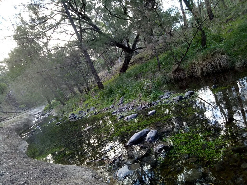 Towarri National Park