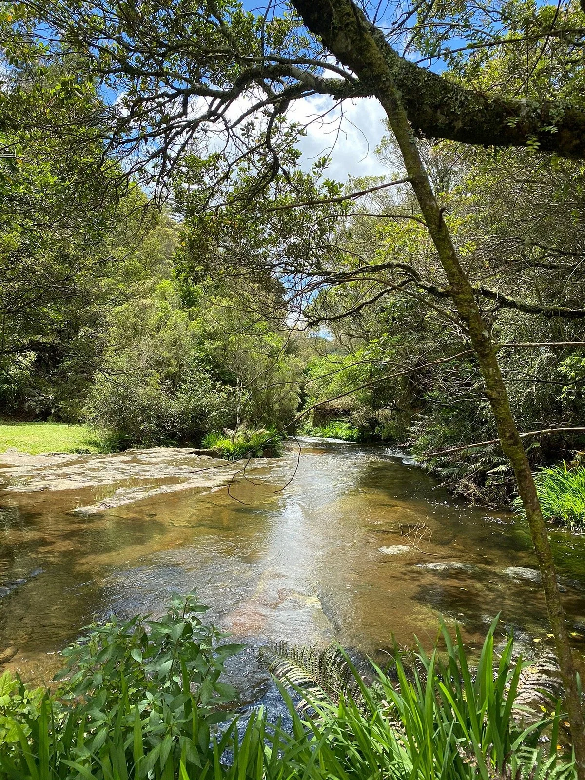 Puketoki Reserve