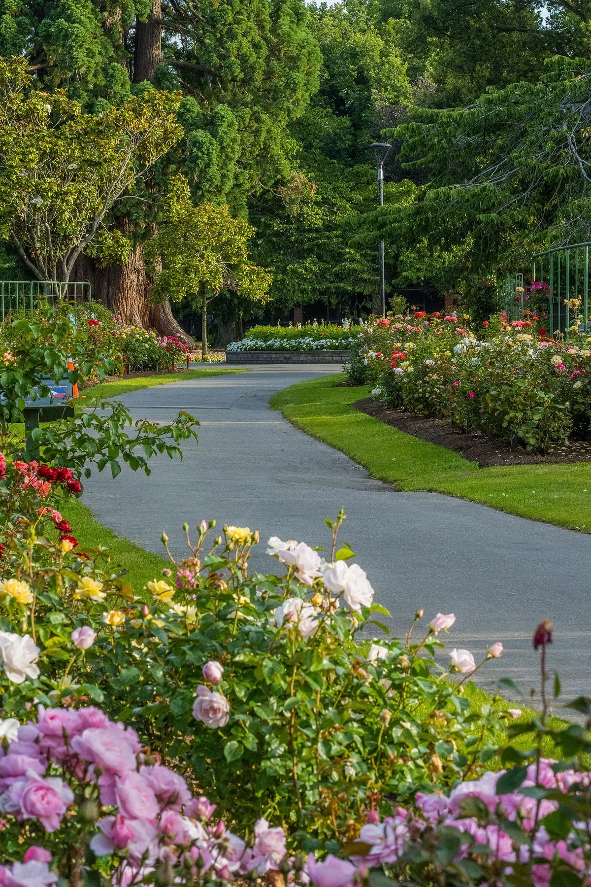 Gore Public Gardens