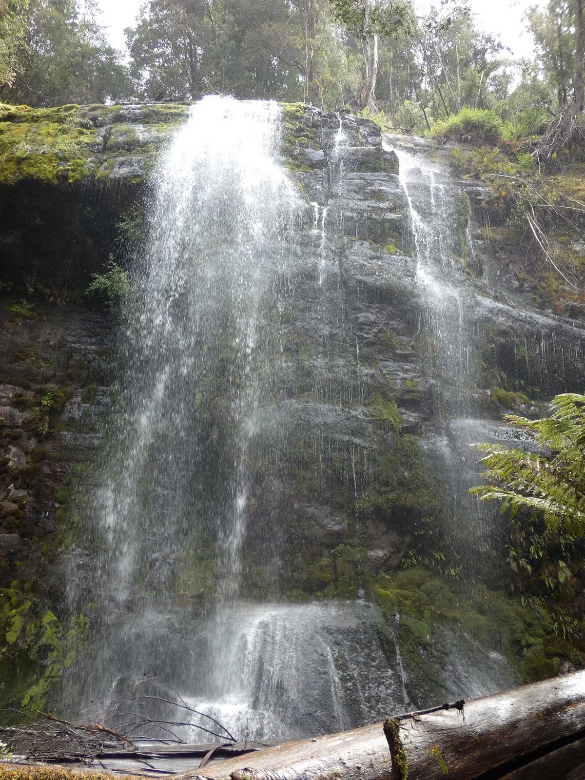 Marriotts Falls