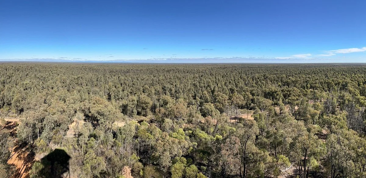 Salt Caves Fire Tower