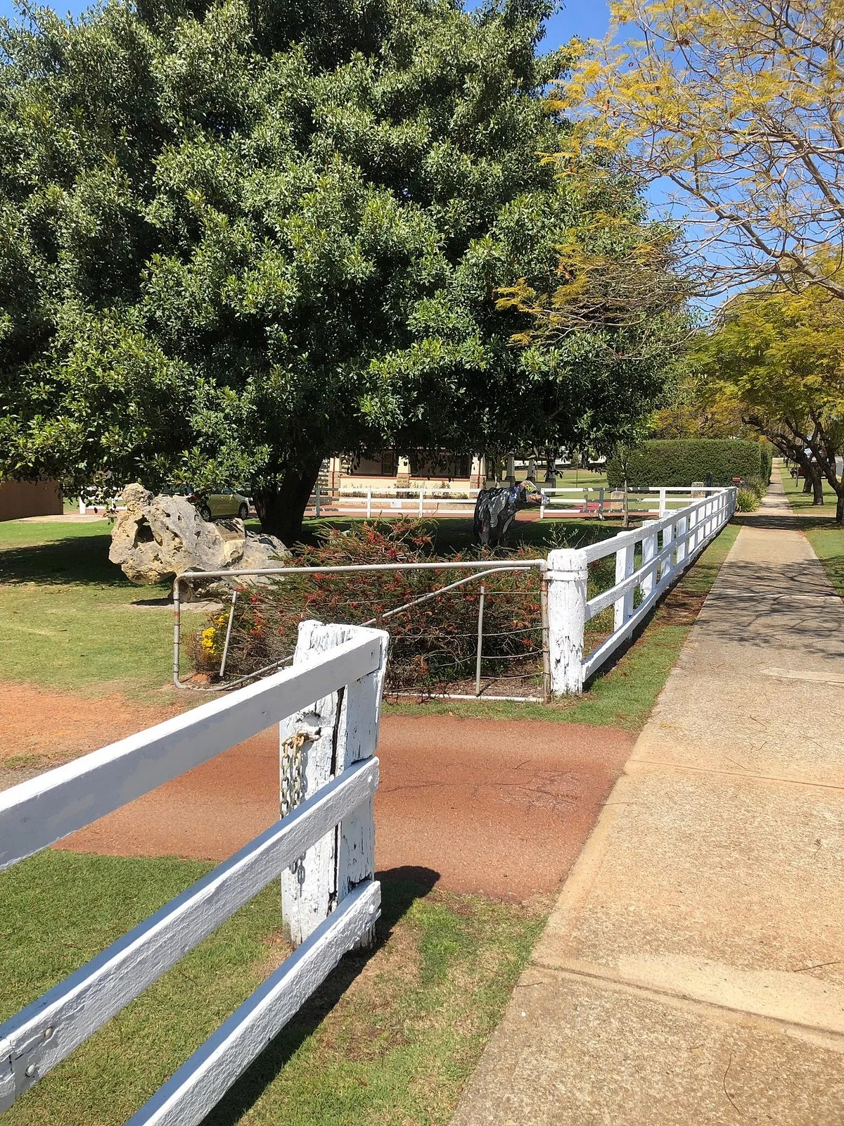 Neil McDougall Park