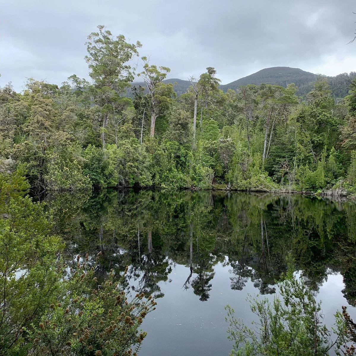 Duckhole Lake