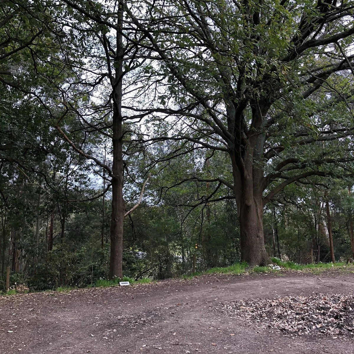 Loch Memorial Reserve