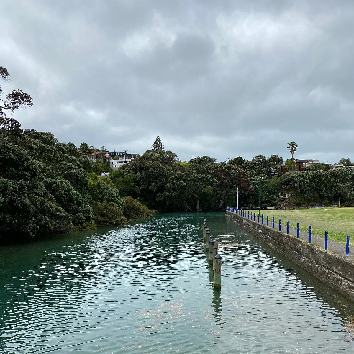 Milford Beach Reserve